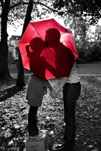 guarda-chuvas